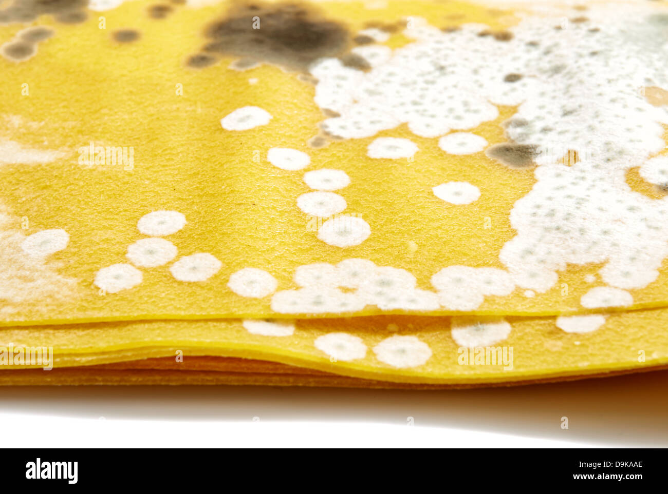 Mold on noodles for lasagna Stock Photo Alamy