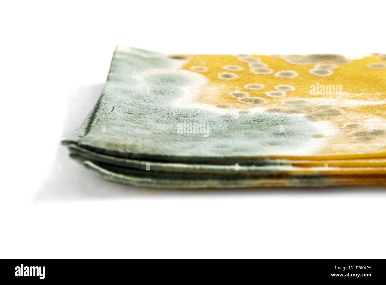 Mold on noodles for lasagna Stock Photo Alamy