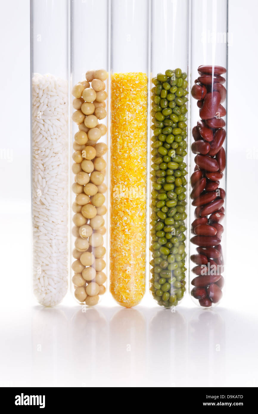 Lab Grain Grains in test tube in laboratory Stock Photo - Alamy