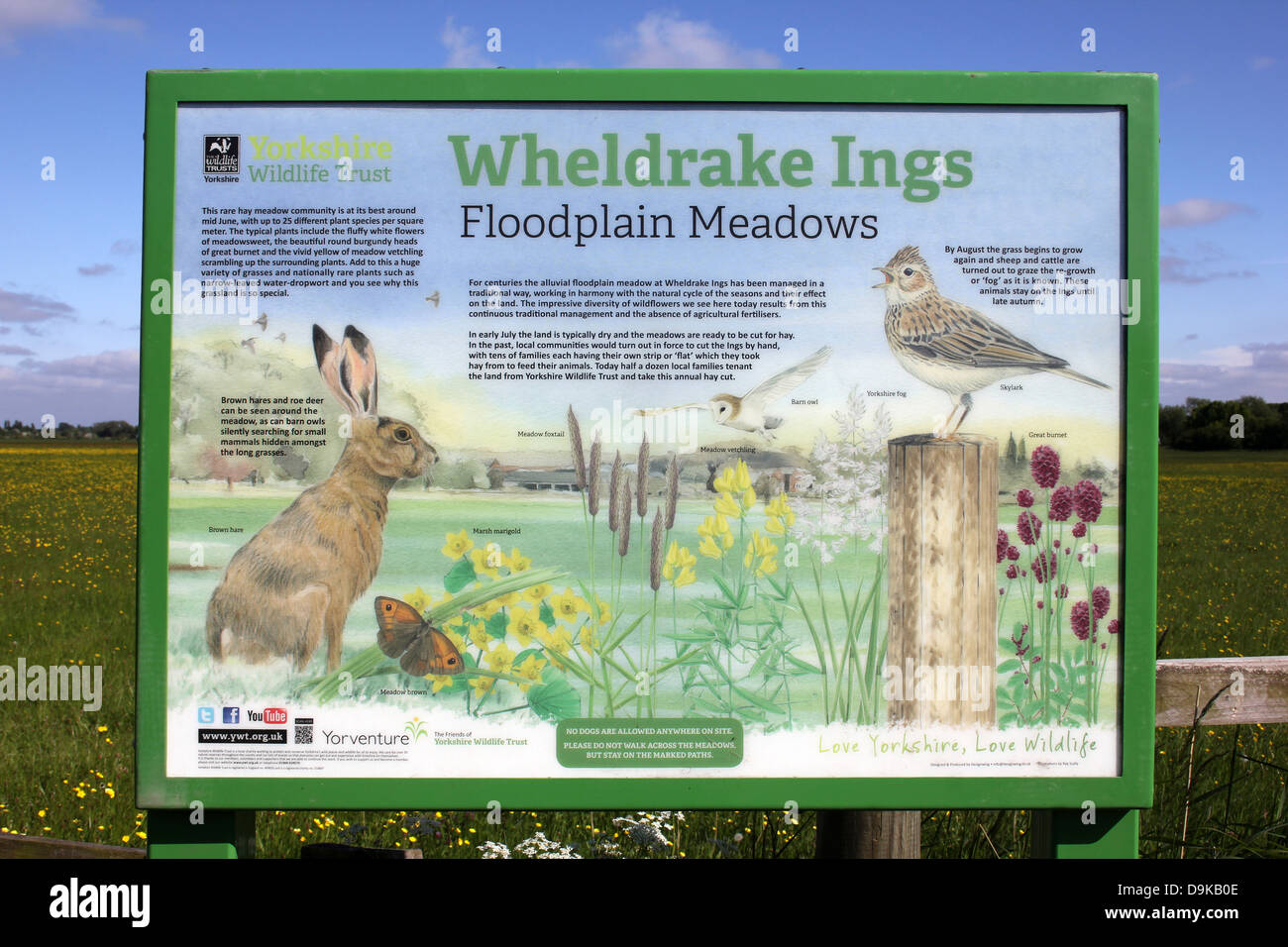 Wheldrake Ings - Yorkshire Wildlife Trust Reserve Floodplain Meadows Information board Stock Photo