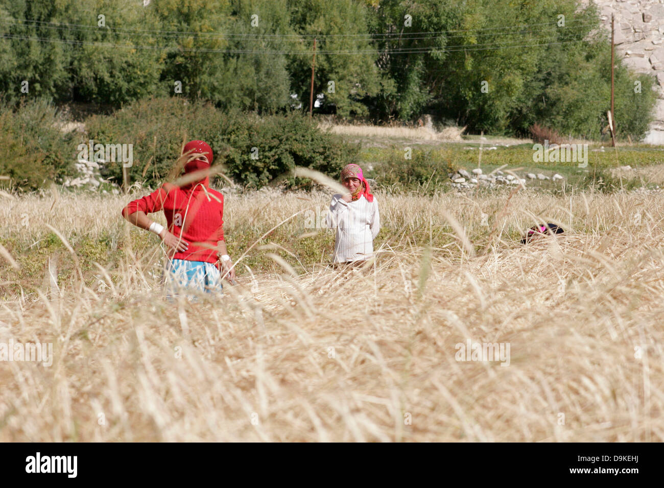Шабындықтағы секс бейнелерін қараңыз