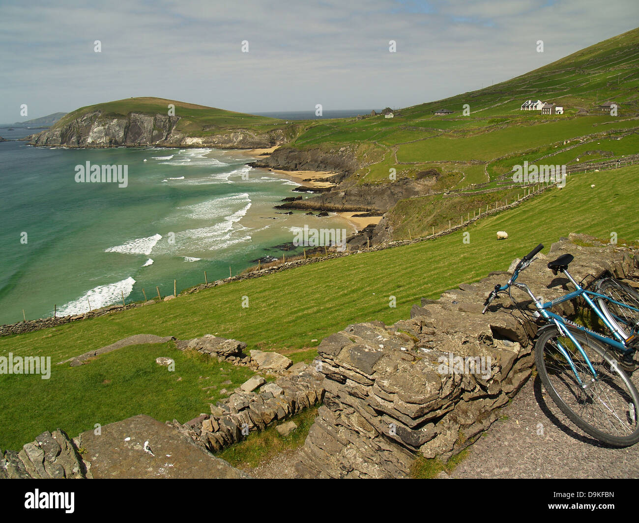 Dunmore Head,Slea Head Drive,Dingle Peninsula,Ireland Stock Photo Alamy