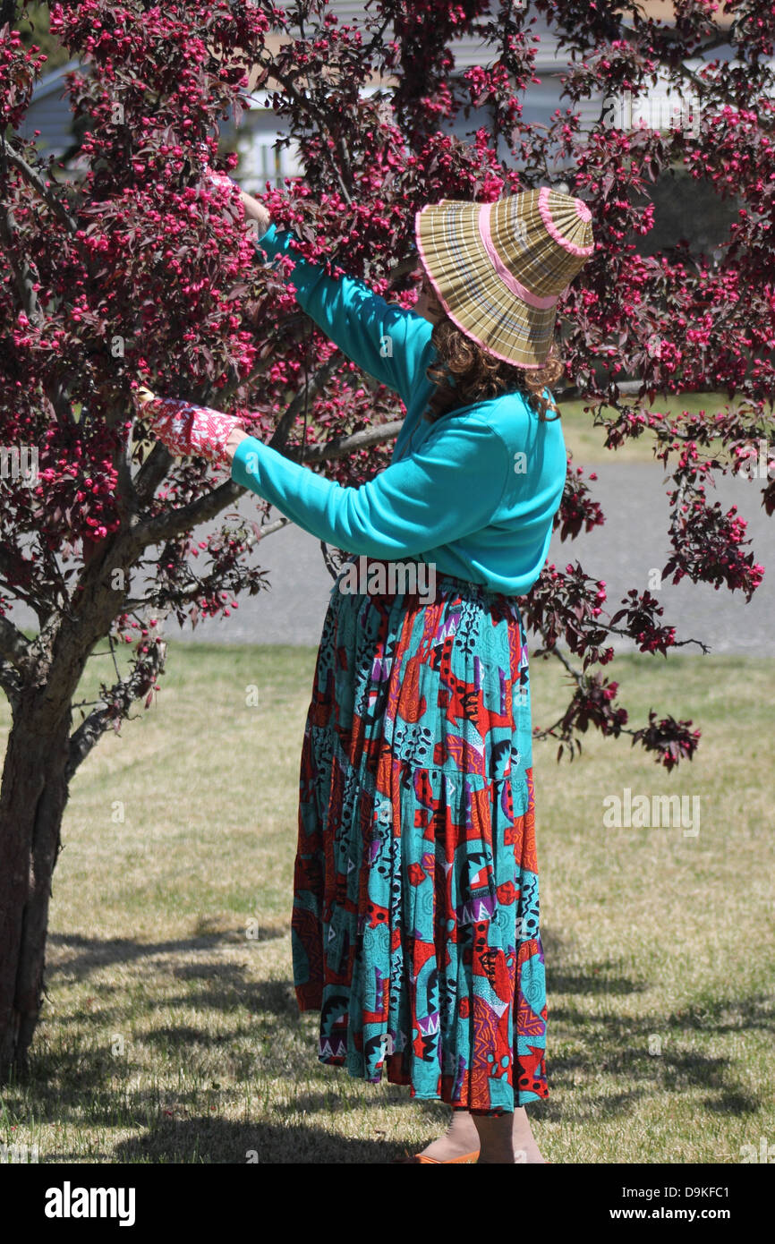 Pretty woman in colorful dress and straw hat pruning a tree Stock Photo ...