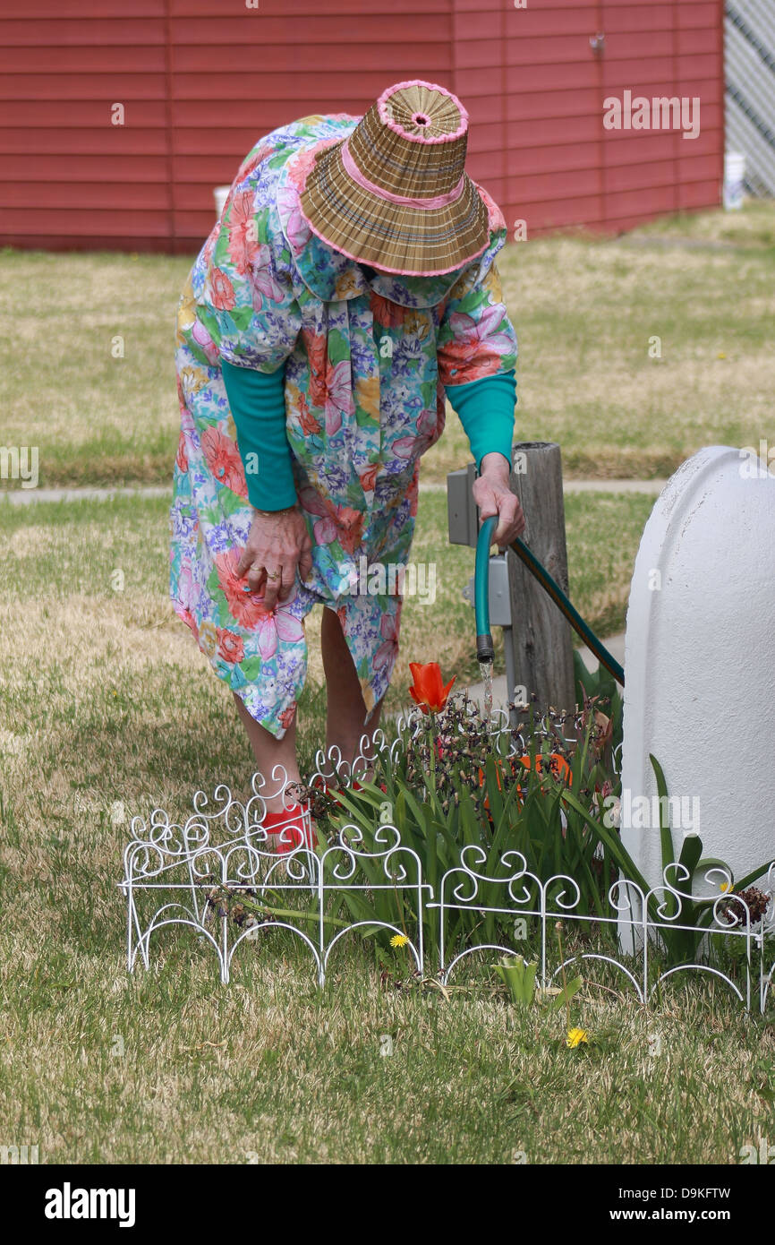 Older woman watering flowers in a garden Stock Photo