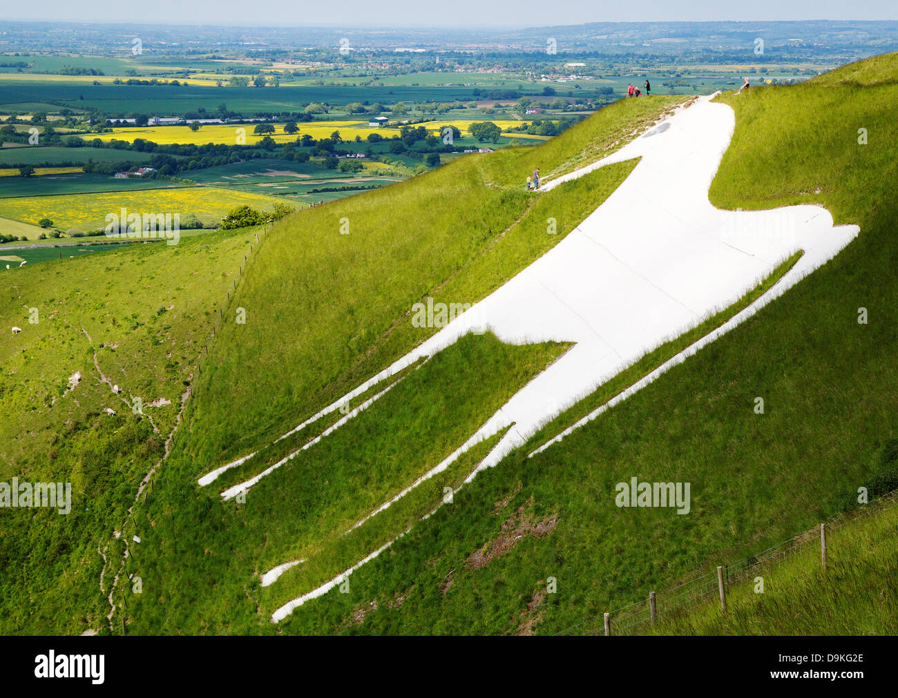 Westbury White Horse and the earthworks of Bratton Camp on the Wiltshire Downs near Trowbridge UK Stock Photo