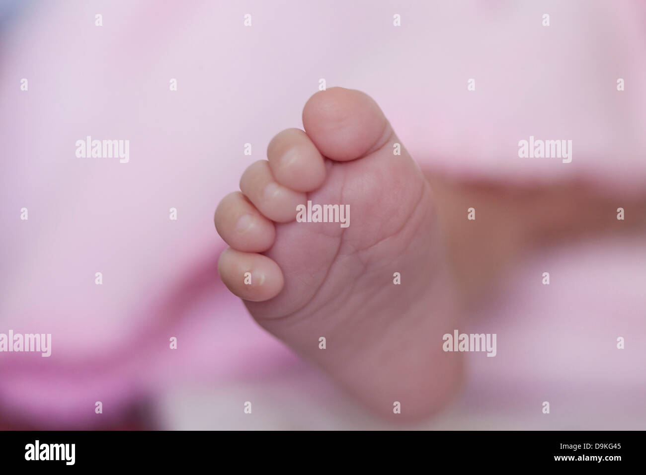 foot of newborn baby Stock Photo Alamy