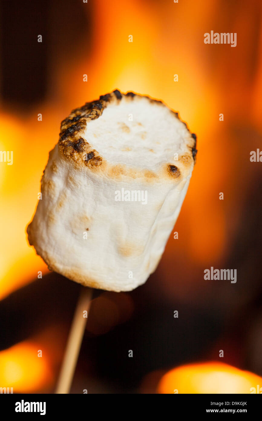 Toasted marshmallow stick hi-res stock photography and images - Page 2 -  Alamy