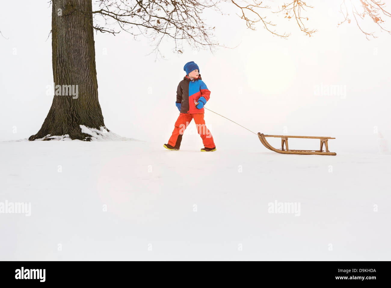 Boy pulling toboggan in snow Stock Photo Alamy