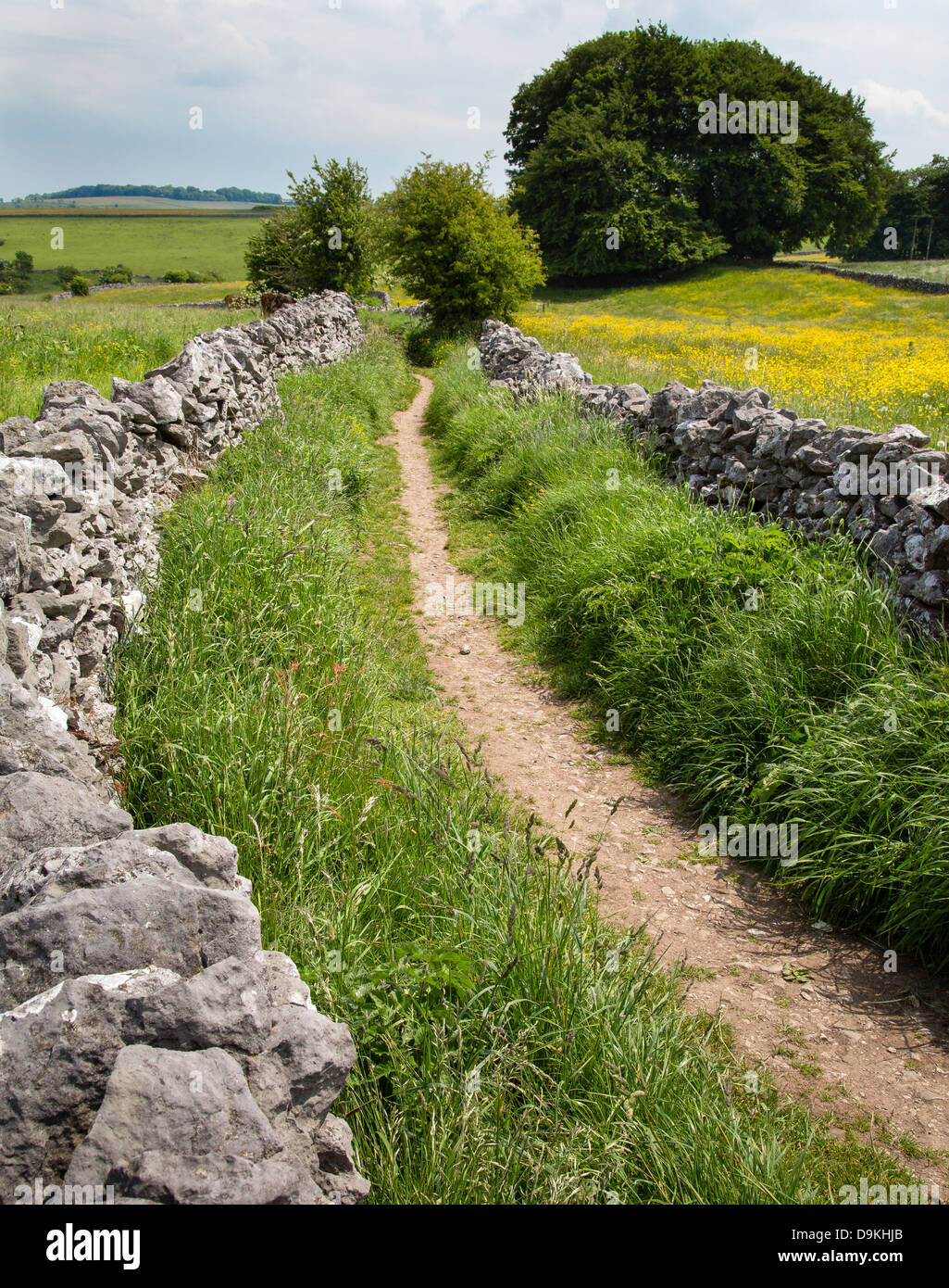 MIlken Lane is a drystone walled green lane running from the Derbyshire village of Monyash to Fern Dale above Lathkill Dale Stock Photo