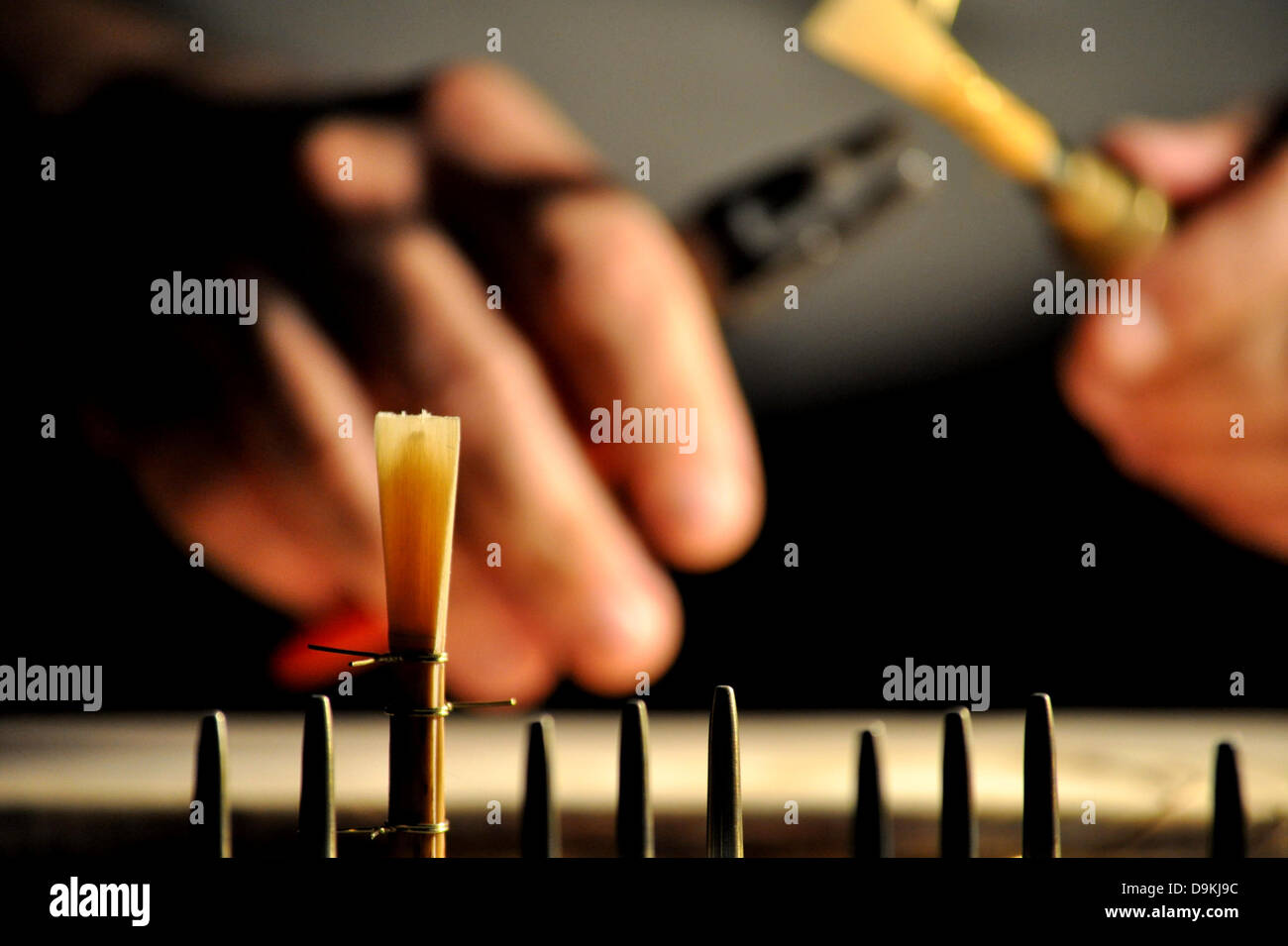 Drying reed hires stock photography and images Alamy