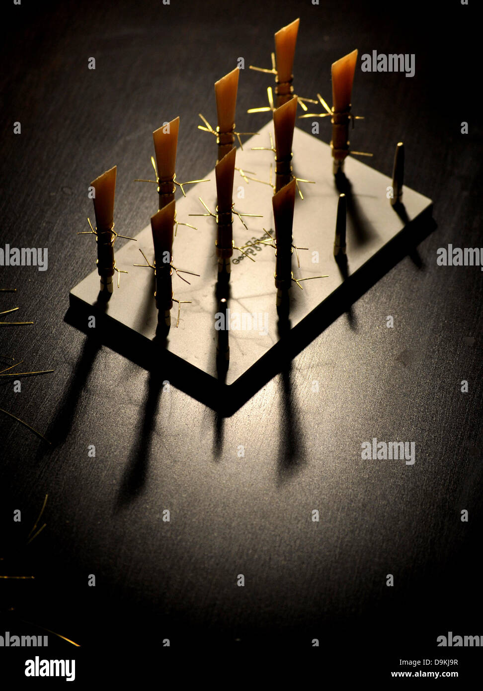 Reeds drying hires stock photography and images Alamy