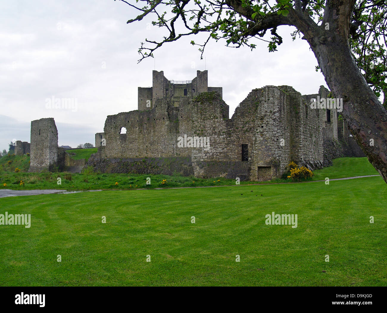 Trim Castle,County Meath,Ireland Stock Photo Alamy