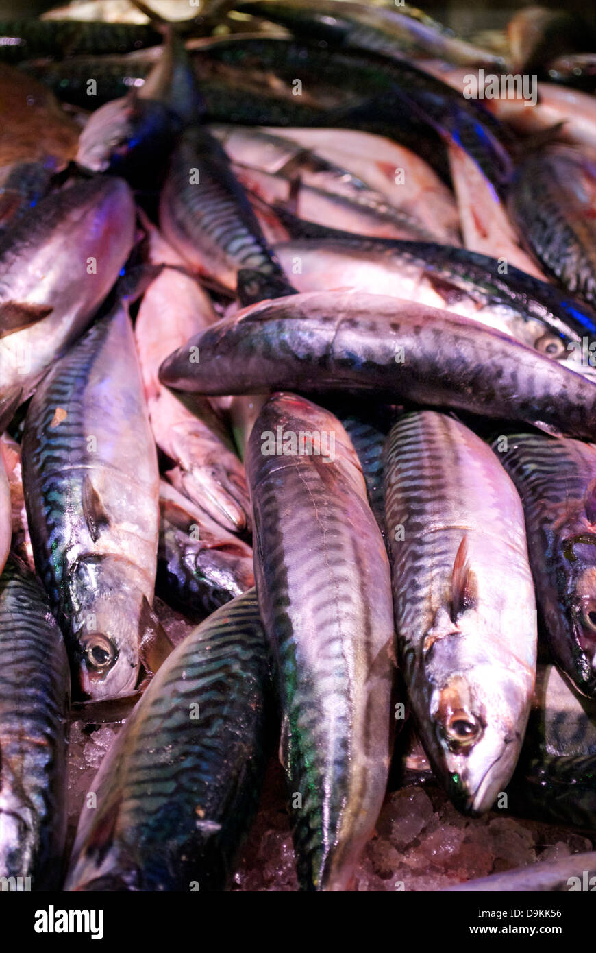 Mackerel for sale at the English Market in Cork Stock Photo Alamy