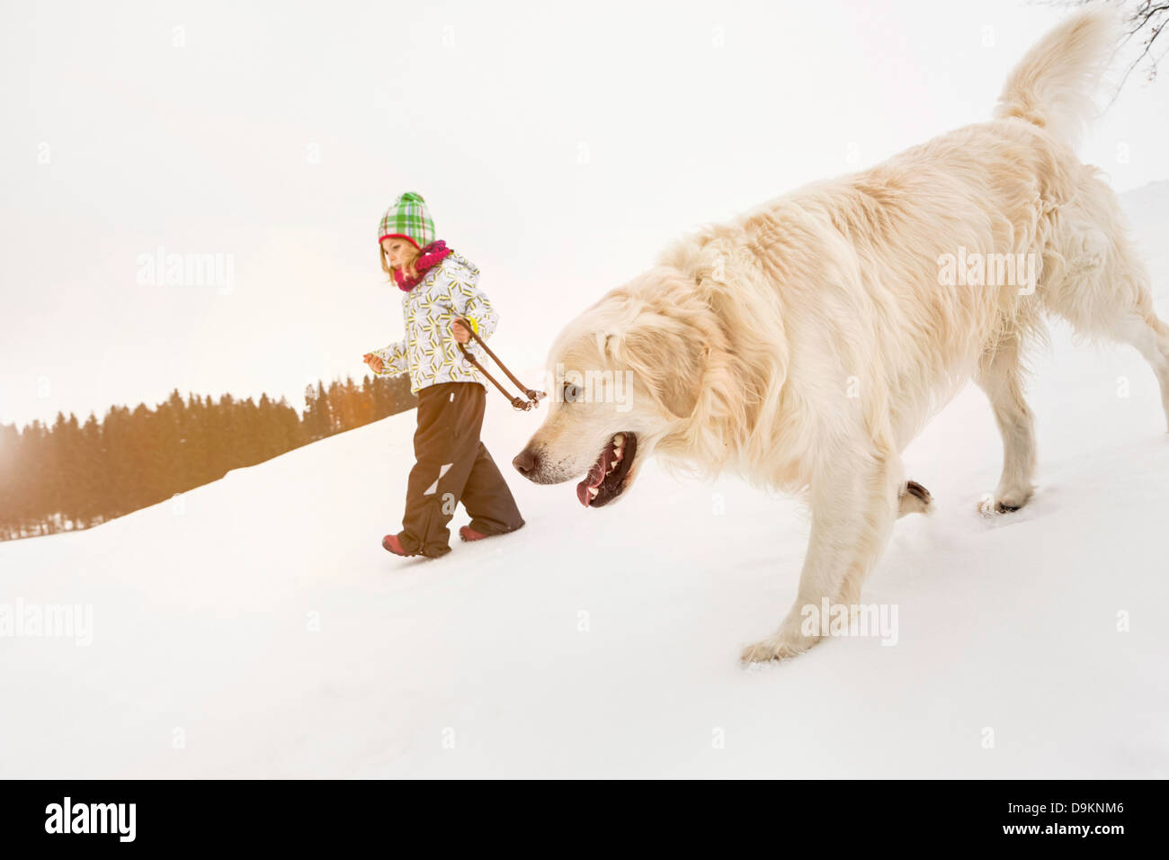 Girl walking dog hi-res stock photography and images - Alamy