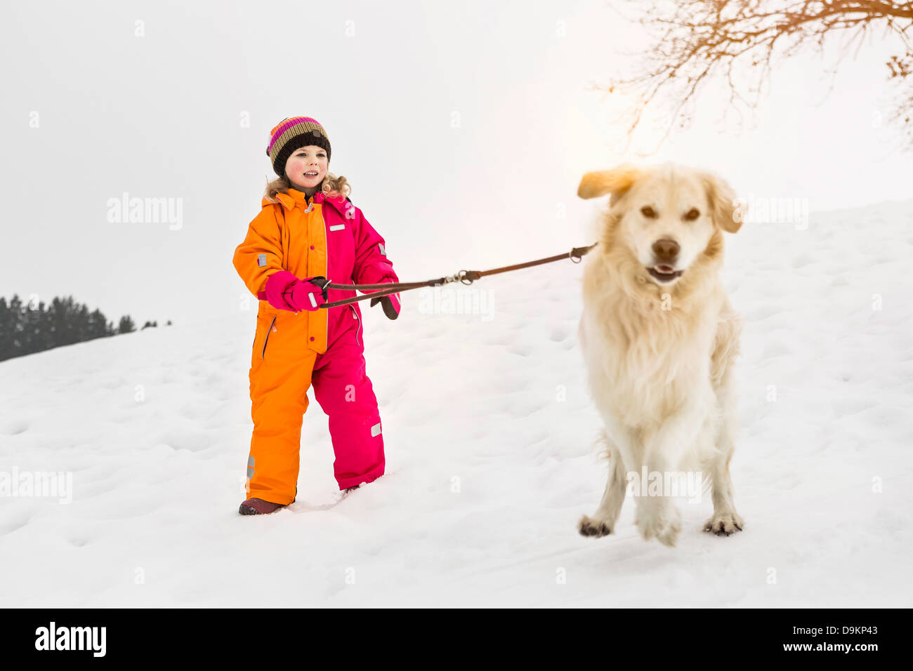 Girl walking dog in snow Stock Photo Alamy