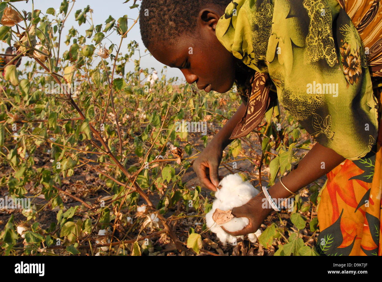 Africa TANZANIA organic cotton project biore of swiss yarn trader Remei