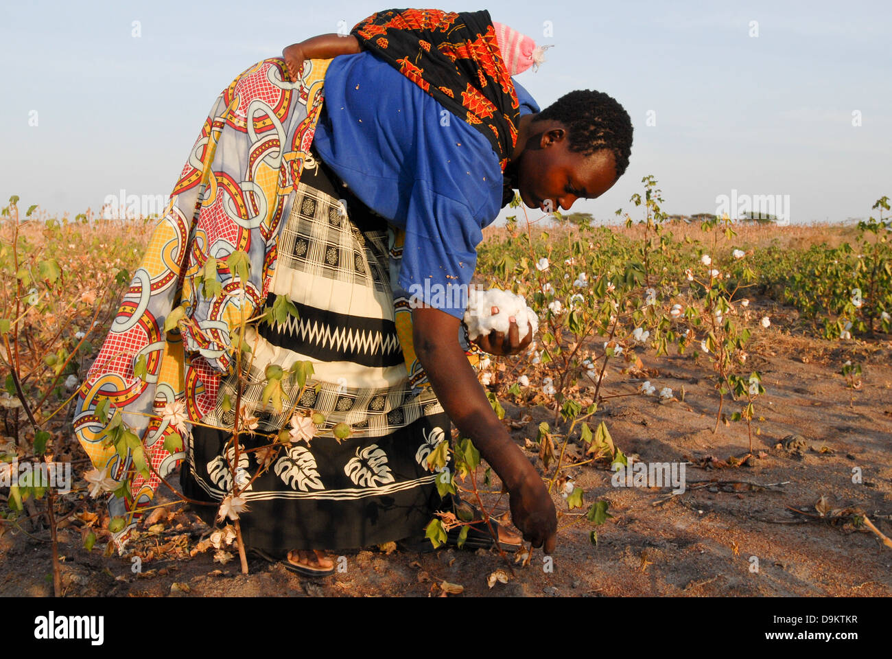 Africa TANZANIA organic cotton project biore in Meatu district , women