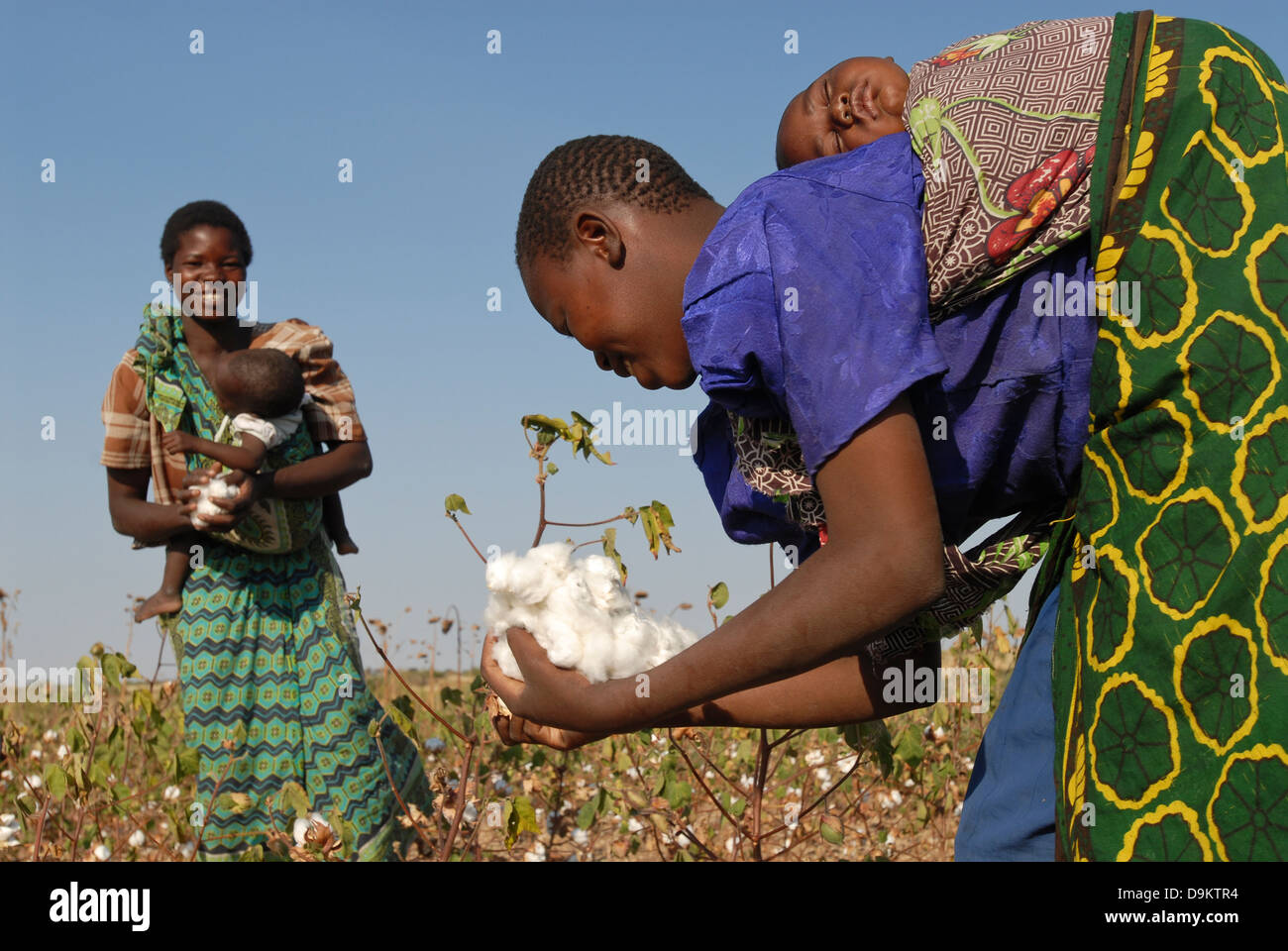 Africa TANZANIA organic cotton project biore in Meatu district , women