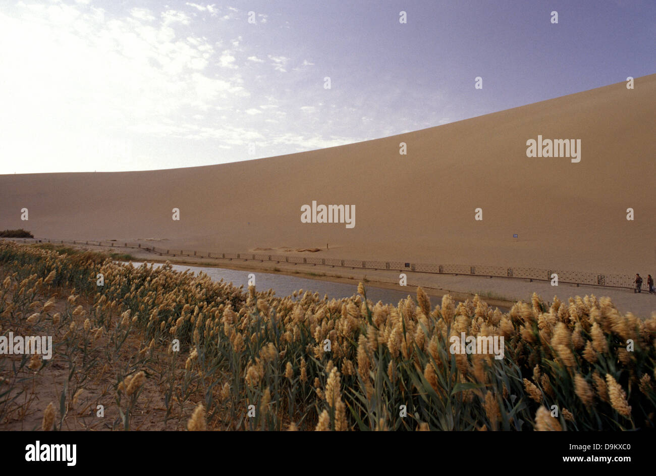 The Moon Crescent Lake and sand dunes on the edge of the Gobi Desert ...