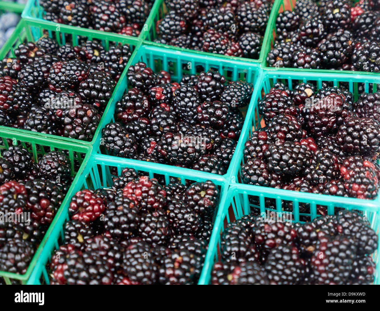 Ripe blackberries for sale at a local farmer's market in Bluffton