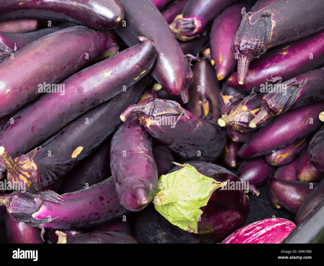 Page 3 Aubergines High Resolution Stock Photography And Images Alamy