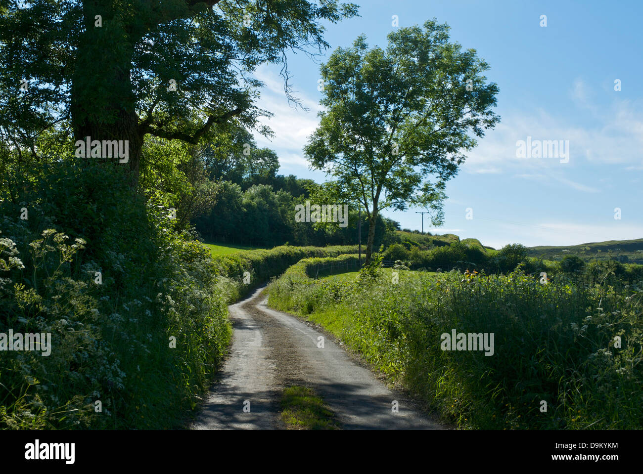 Narrow country lane near the village of Hutton Roof, Cumbria, England