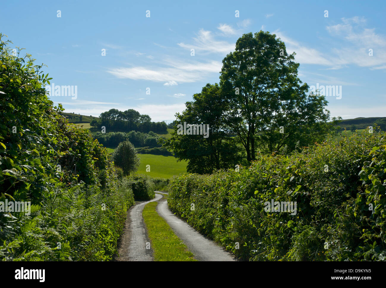 Narrow country lane near hi-res stock photography and images - Alamy