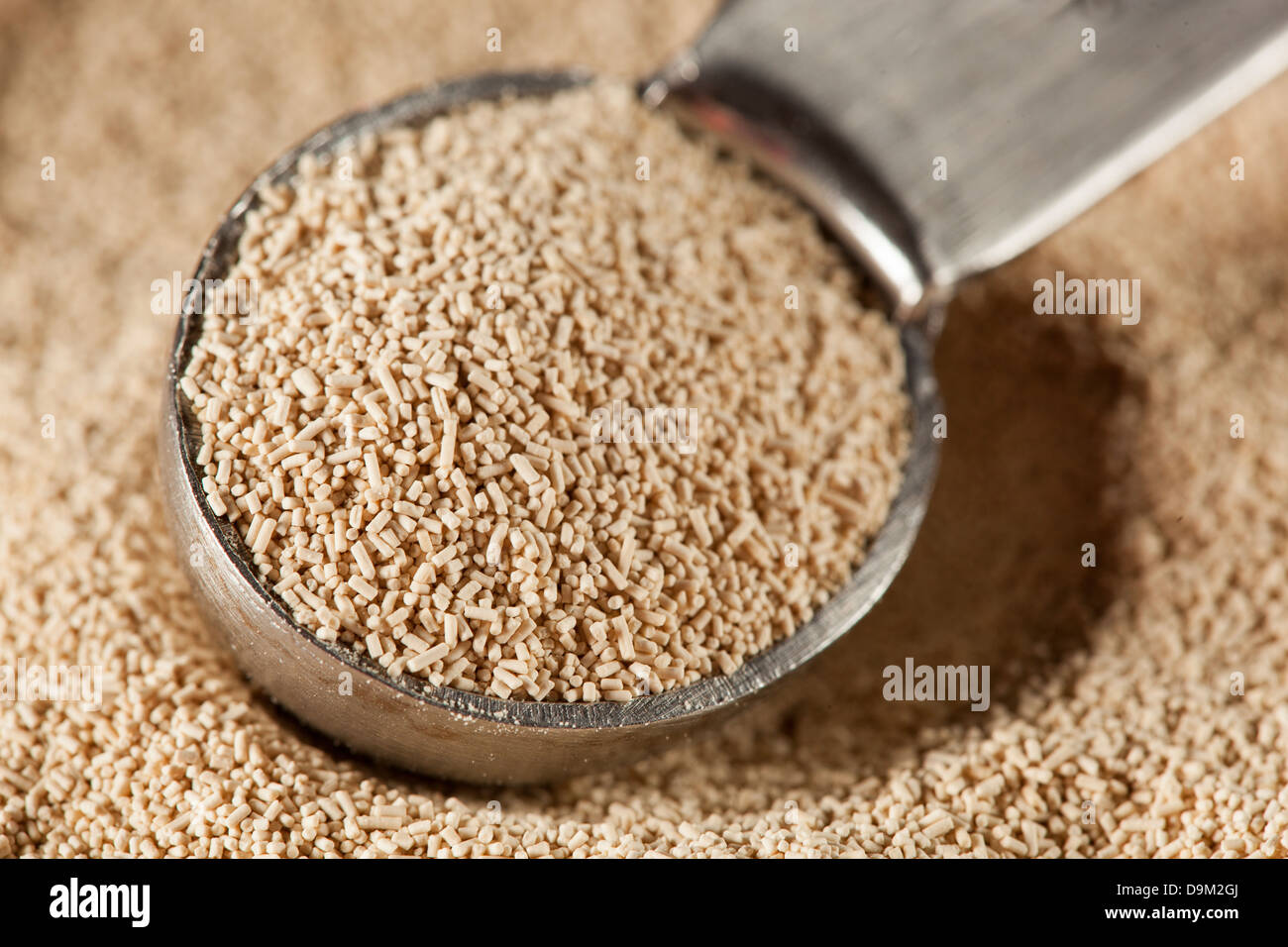 Yeast dough rising hires stock photography and images Alamy