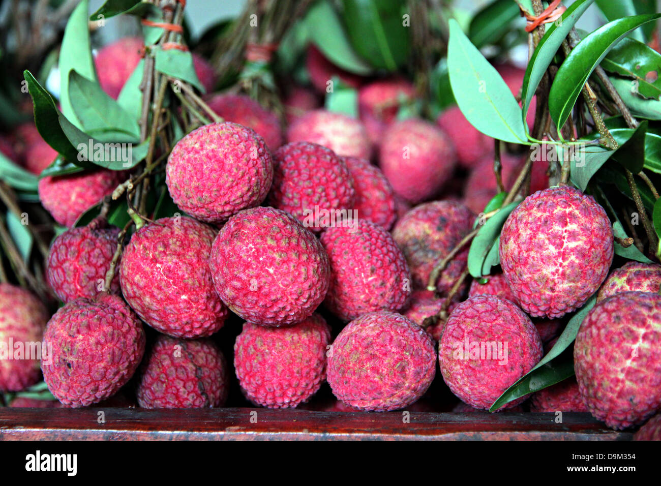 A Sapindaceae is Domestic Fruit in Thailand. Stock Photo