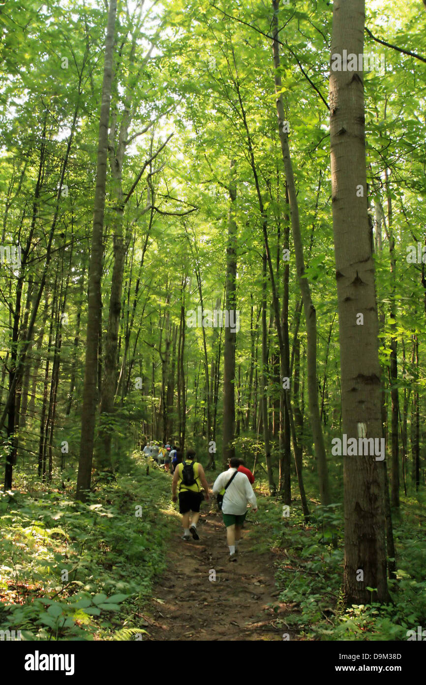 group of people hiking on Appalachian Trail in Pennsylvania, PA, USA, woods forest, trees, path, leaves, green Stock Photo