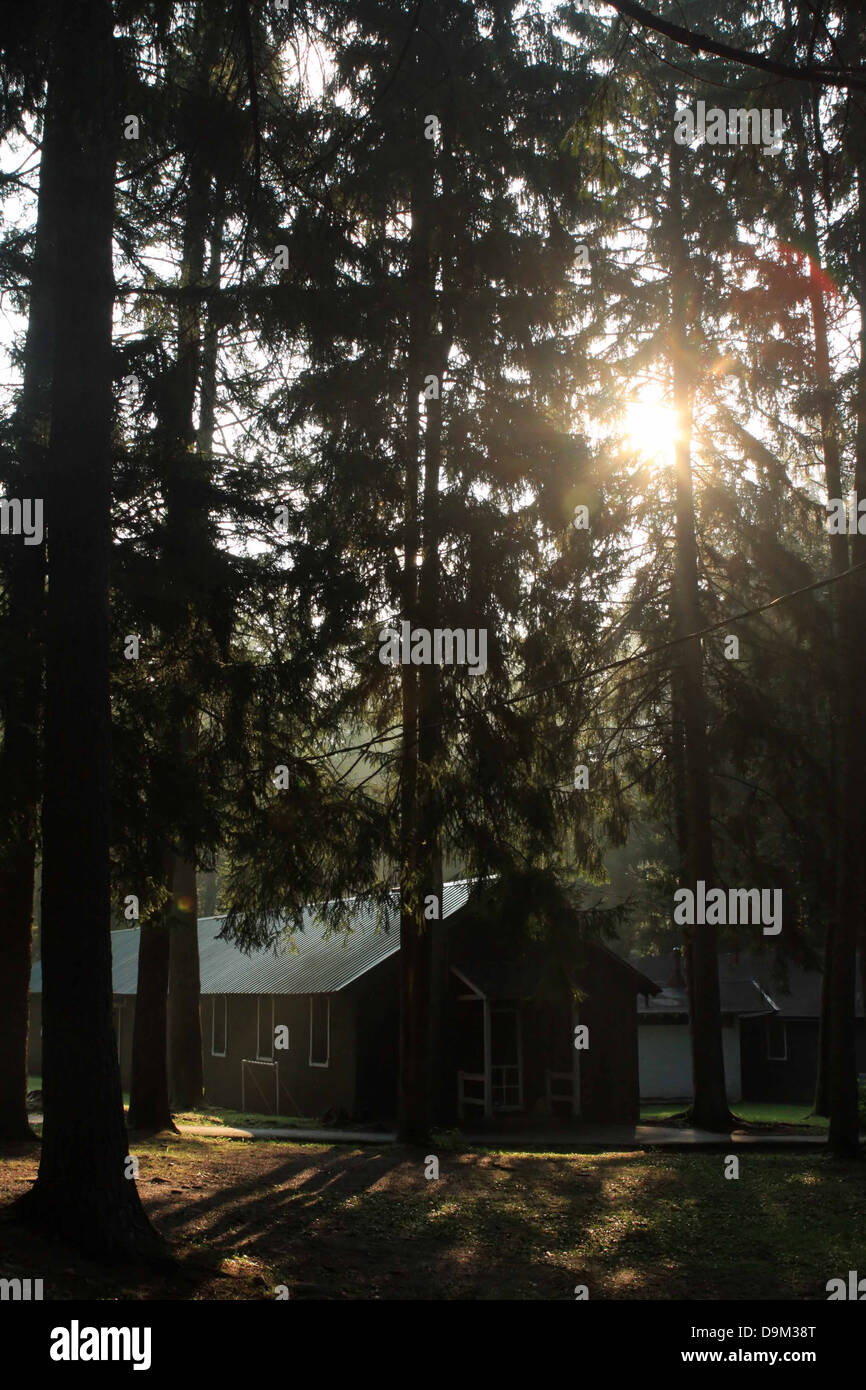 Cabin In The Woods Forest Sunshine Morning Sunrise Sun Trees Stock