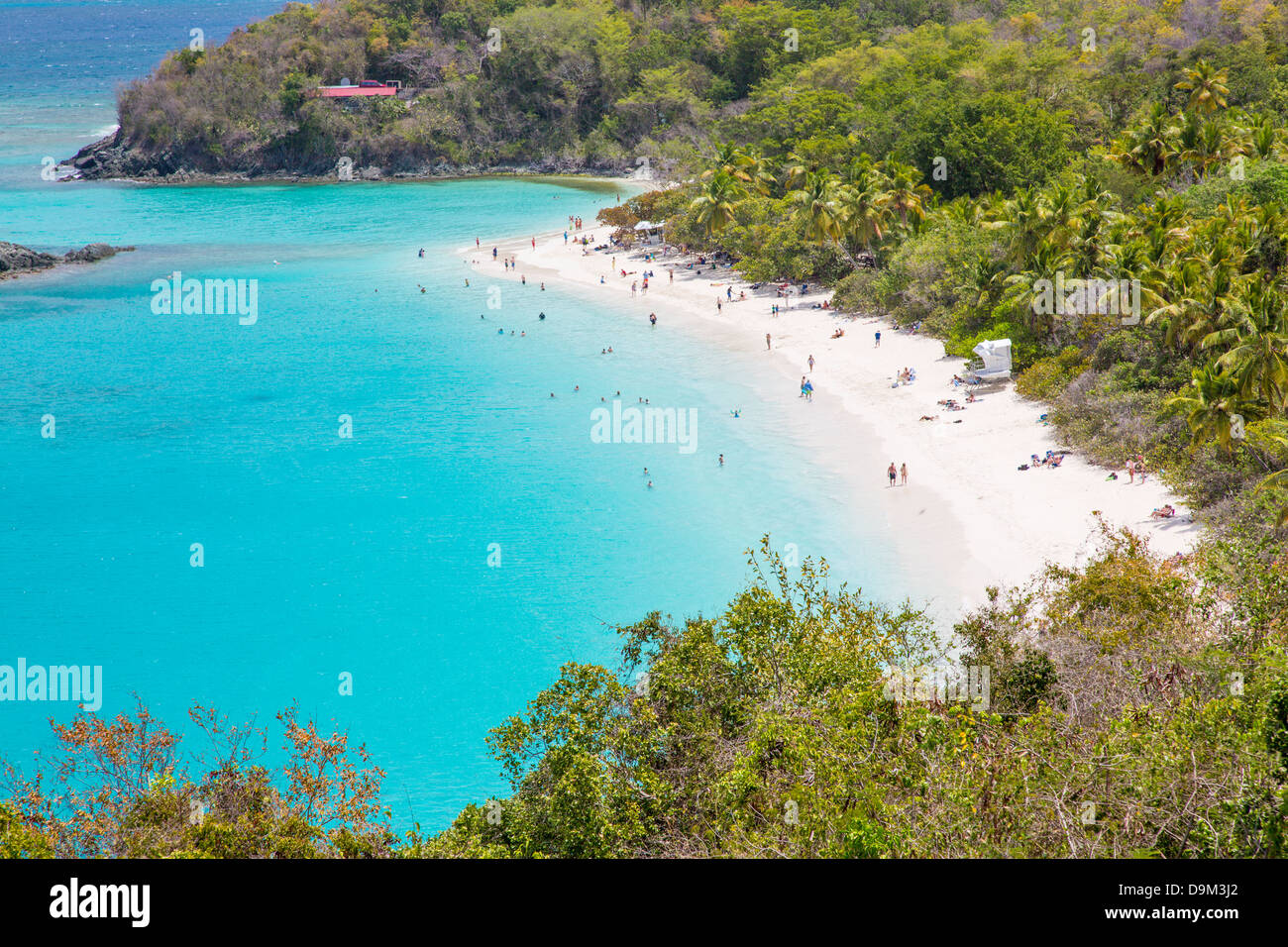 Trunk Bay Beach on the Caribbean Island of St John in the US Virgin