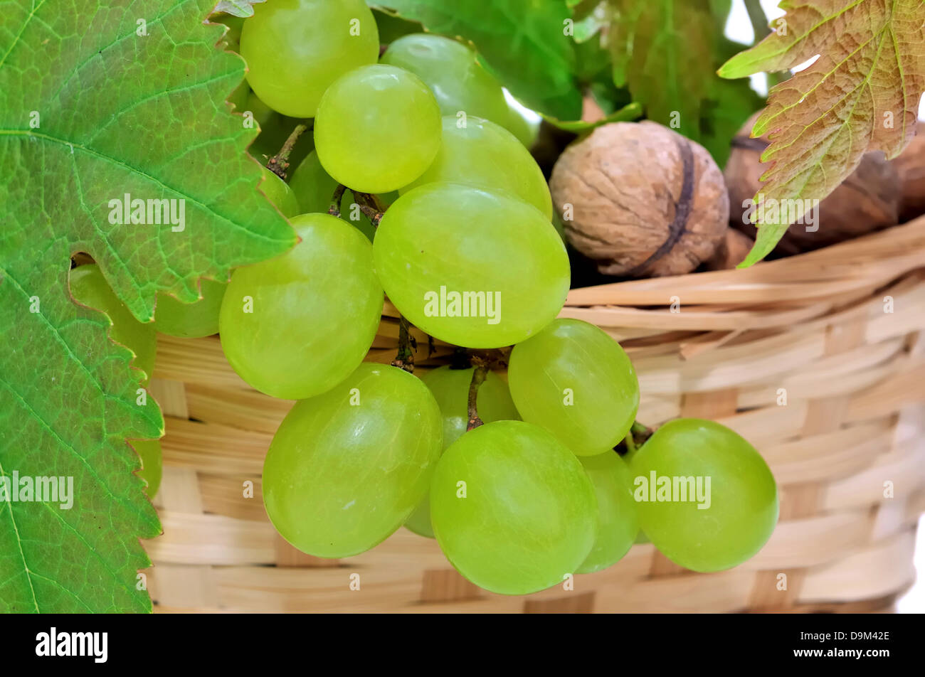 close on grapes in a basket with nuts and vine leaves Stock Photo