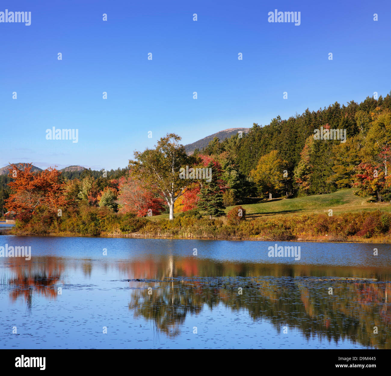 Little Long Pond In The Colors Of Autumn, Mount Desert Island, Acadia National Park, Maine, USA Stock Photo