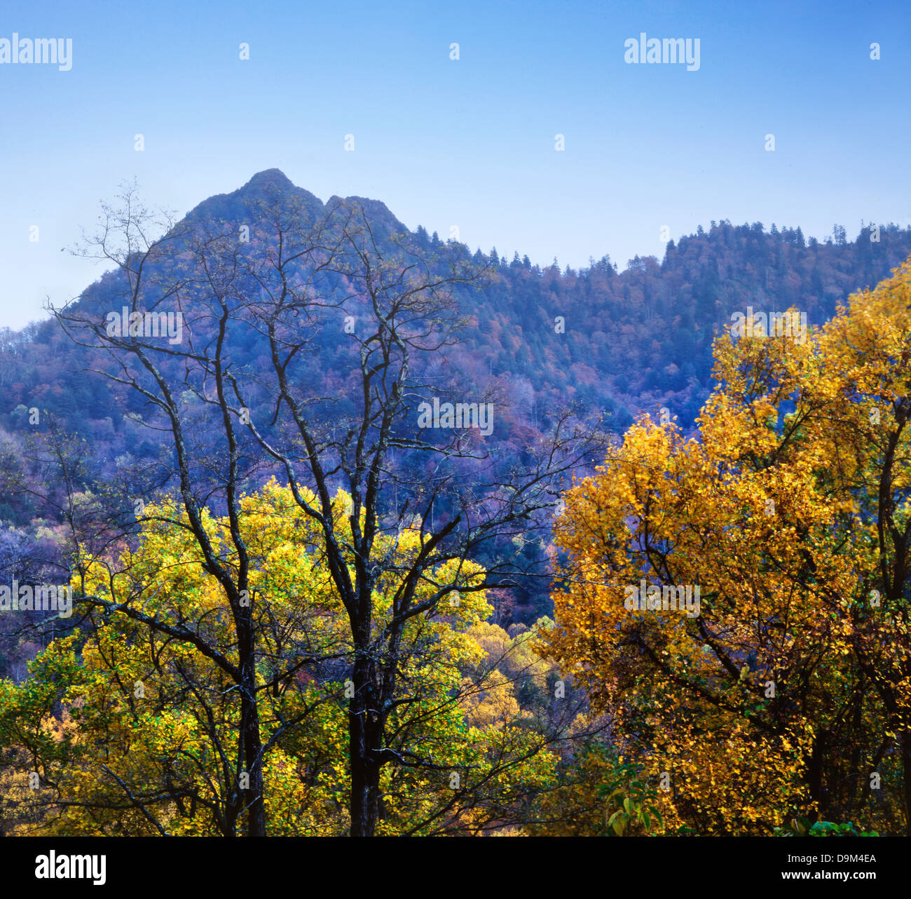 The Mountain Peaks Called Chimney Tops In The Great Smoky Mountains