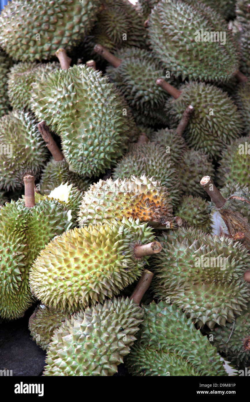 Dump Durian from Thailand is Fruit with a strong smell. Stock Photo