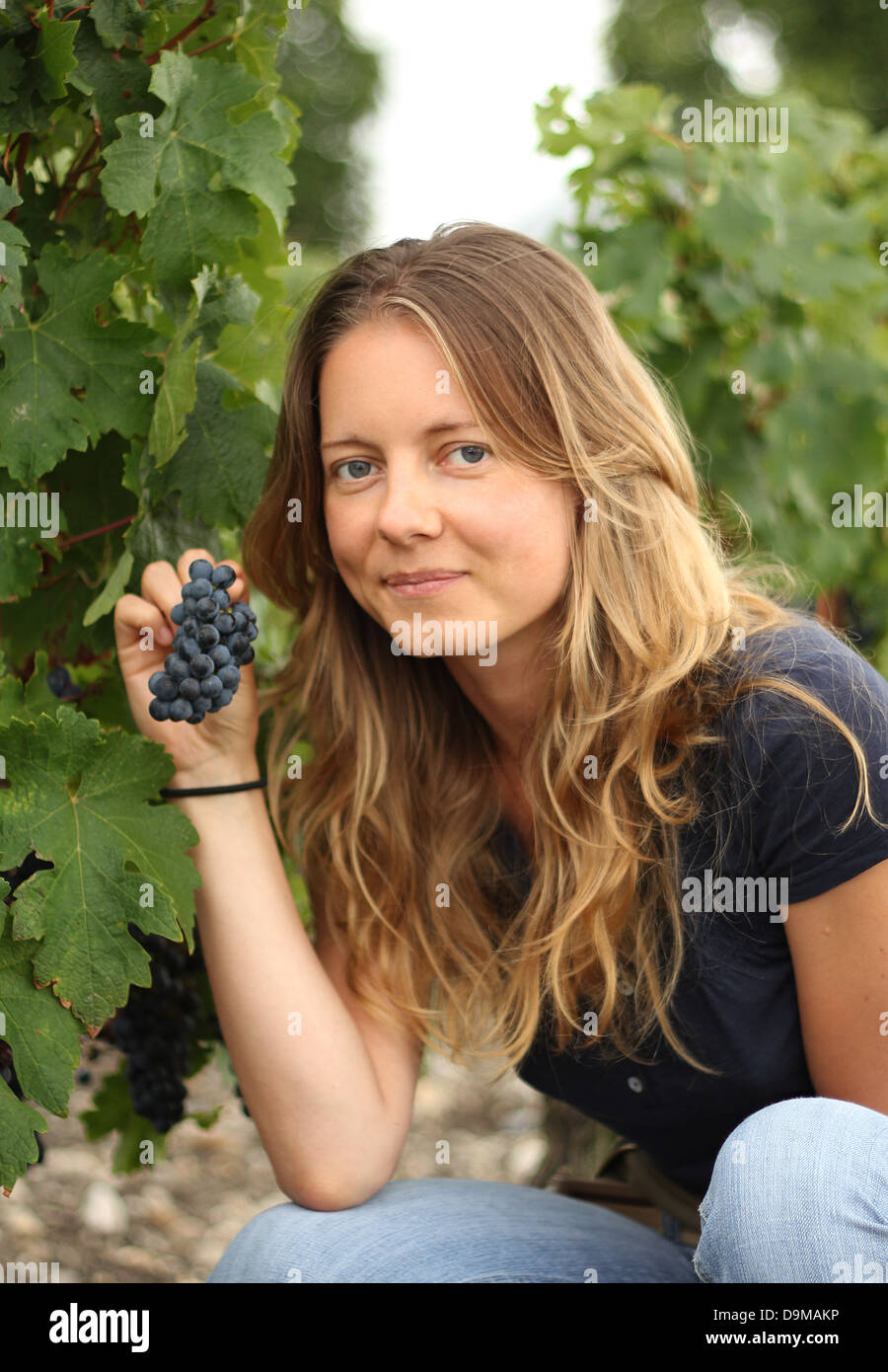 Blond young woman holding a grape looking at camera in the vineyard Stock Photo