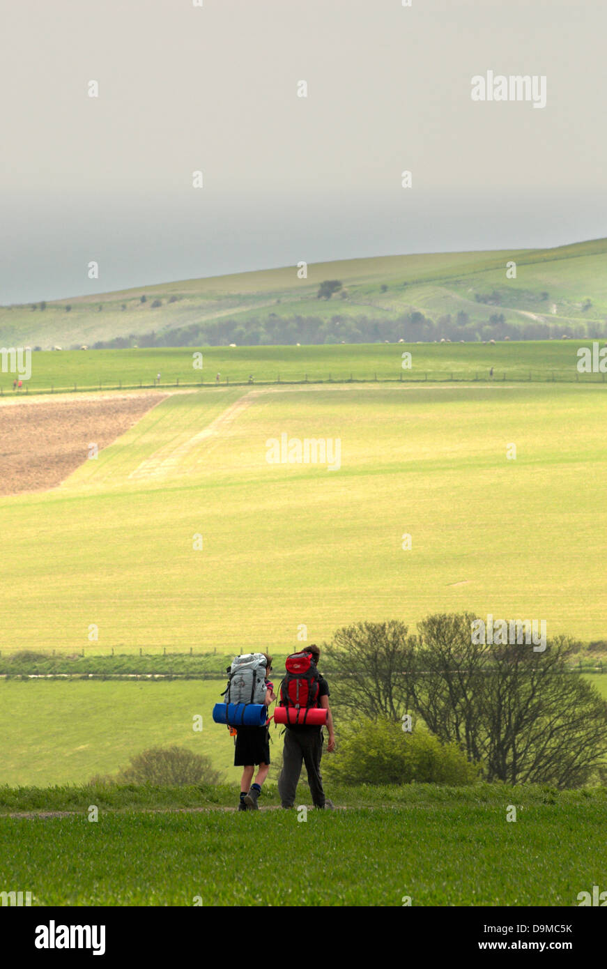 Walkers on the South Downs Way in the South Downs National Park. Stock Photo