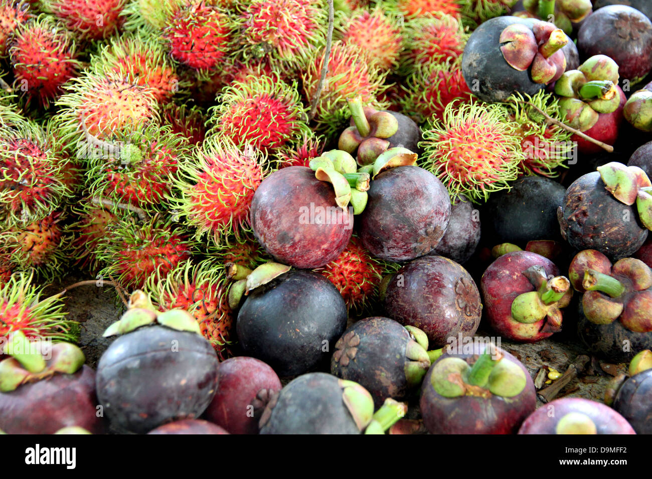 Rambutan and mangosteen is fruits Domestic in Thailand Stock Photo Alamy