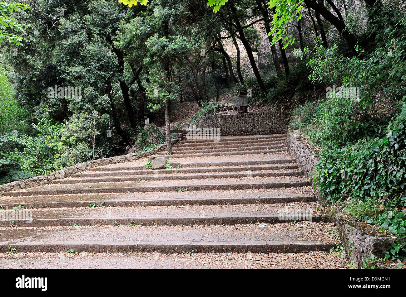 Wood stairs on mountain hi-res stock photography and images - Alamy