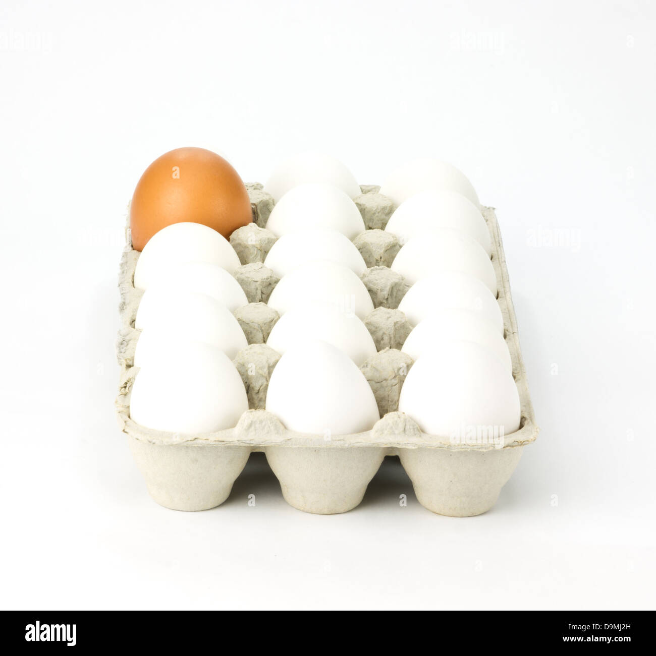 Eggs carton Cut Out Stock Images & Pictures Alamy