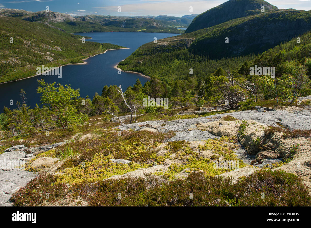Lauvsnes on the coast of Norway Mountain fishing place fjord spare time coast Lauvsnes Norway Norway summer valley vacation Stock Photo