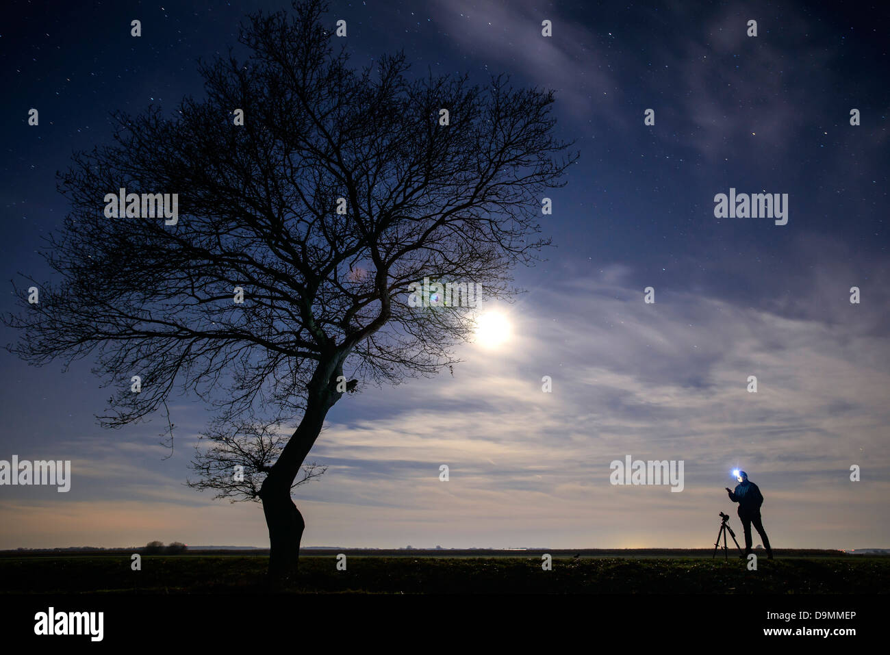 Photographer photograph moon night stars star skies tree Stock Photo