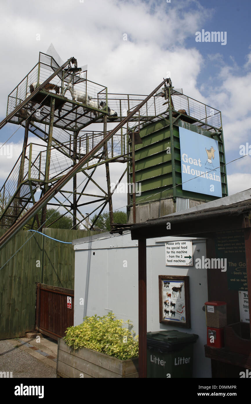 goat mountain. White Post Farm, Mansfield Road, Farnsfield, Nottinghamshire, England, UK Stock
