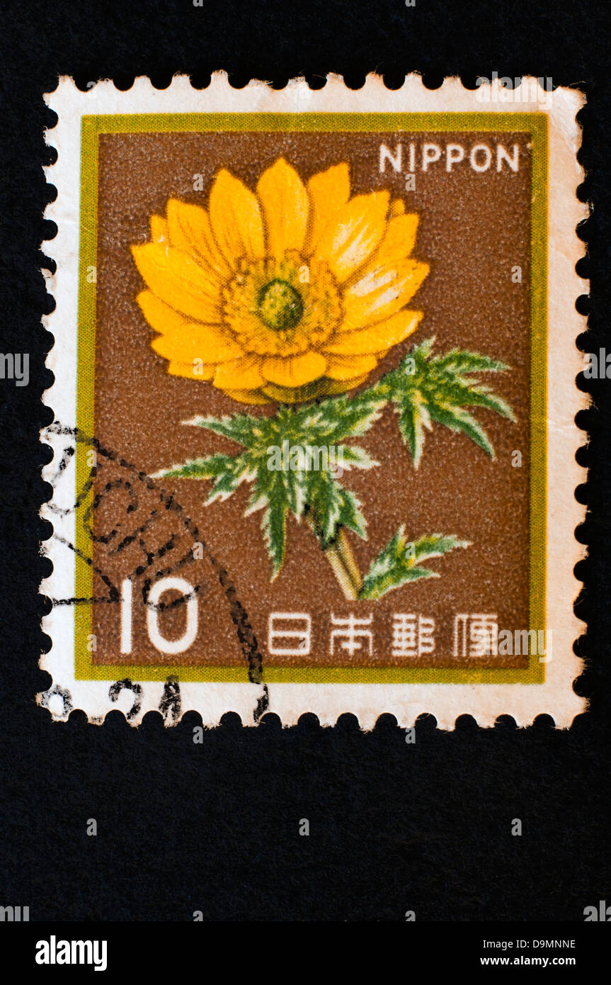 old japanese postage stamp in studio setting Stock Photo Alamy