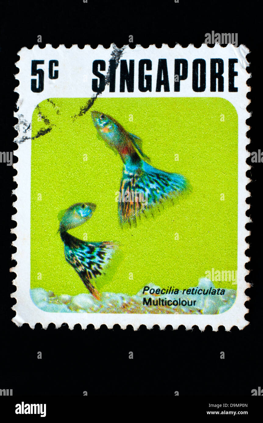 postage stamps in studio setting Stock Photo