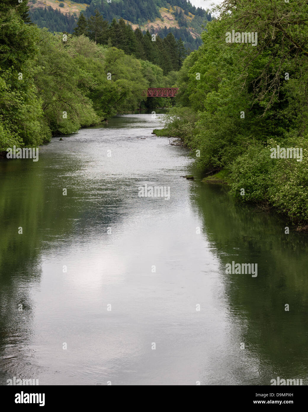 Cottage Grove Oregon United States Row River from Currin covered bridge