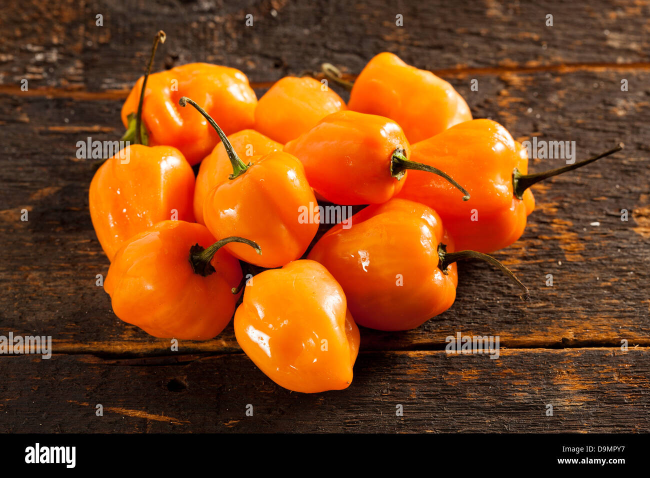 Organic Hot and Spicy Habanero Peppers against a background Stock Photo