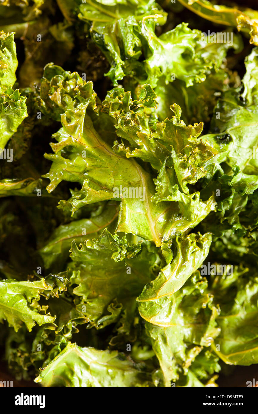 Homemade Organic Green Kale Chips with salt and oil Stock Photo