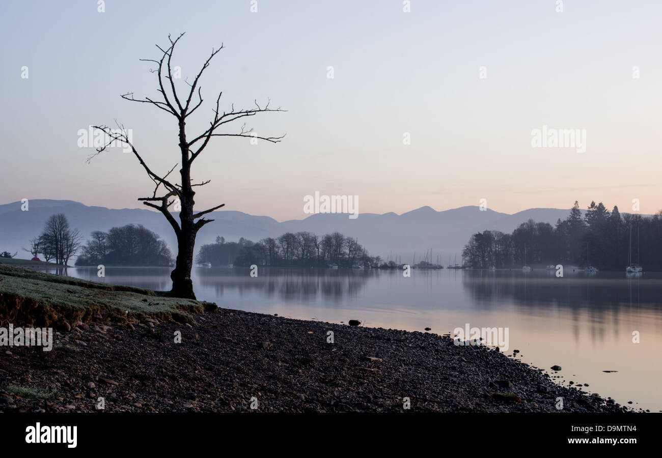 A view of a dead tree on a bank of Windermere with few islands and distant hills as a background just before dawn. Stock Photo